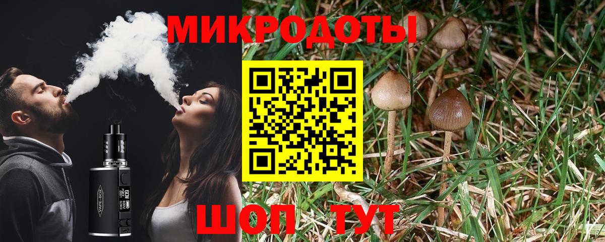Галлюциногенные грибы прущие грибы Сибай